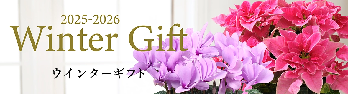 ウインターギフト・お歳暮2025