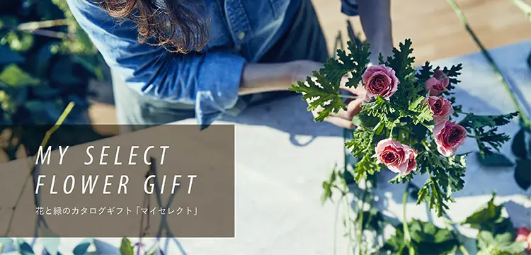 花・花束・アレンジメントを贈るならフラワーギフト通販の第一園芸