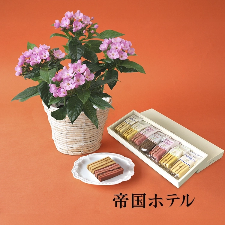 ルクリア＆＜帝国ホテル＞スティックバウム