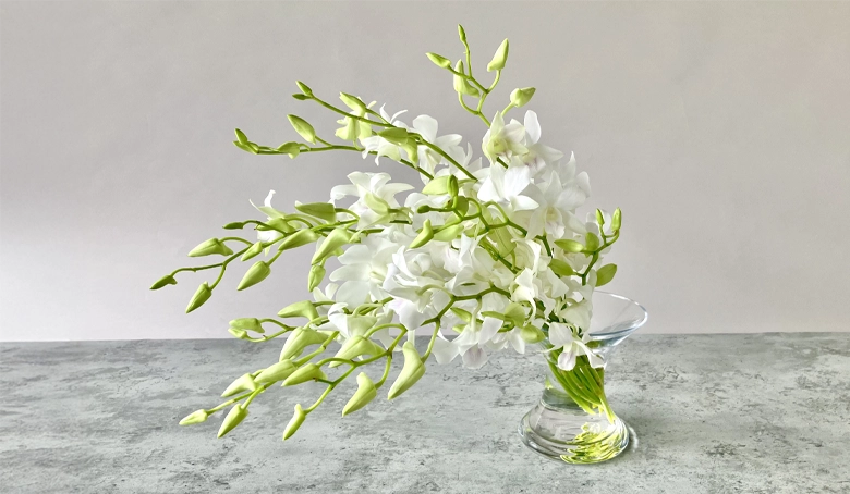 デンファレの花束白10本 イメージ