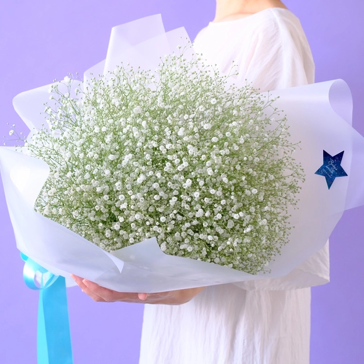 かすみそう花束　「きらり」