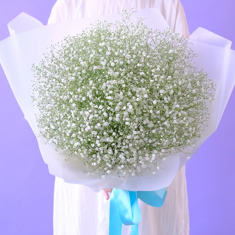 かすみそう花束　「きらり」