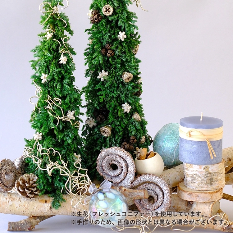 クリスマスデコレーション「エクラ・ド・ノエル」