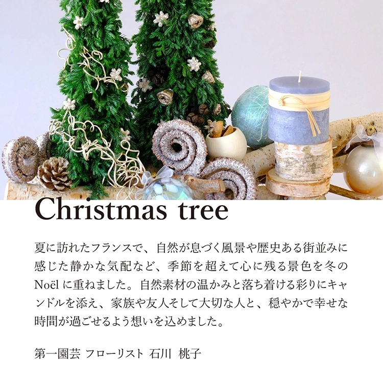 クリスマスデコレーション「エクラ・ド・ノエル」