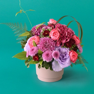 アレンジメント「花菊」 | 花・花束を贈るなら第一園芸オンラインショップ