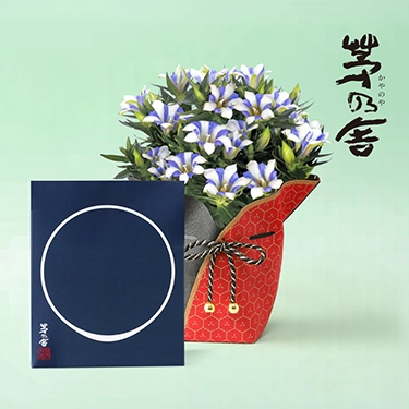 母の日ギフト】ミディ胡蝶蘭 マザーチーク 2本立 | 花・花束を贈るなら