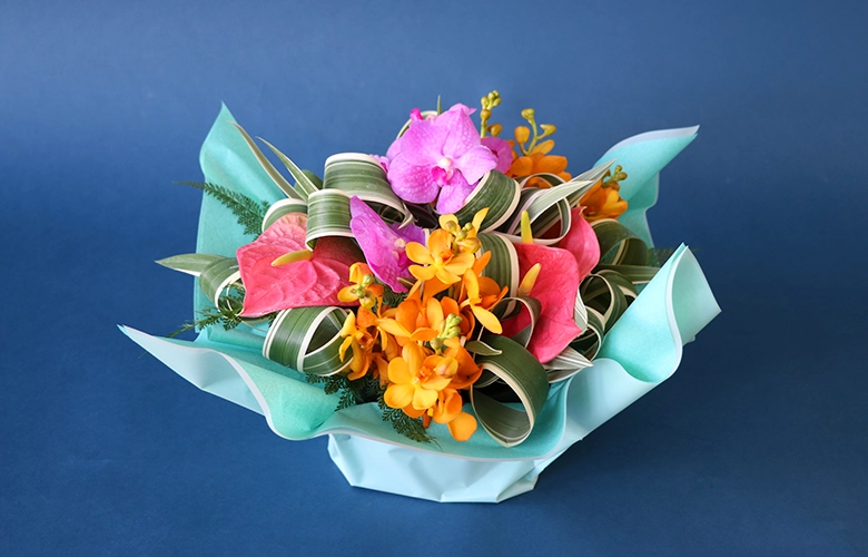 ハイビスカス デュオ ピンク＆レッド | 花・花束を贈るなら第一園芸