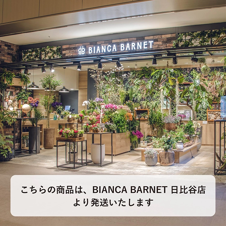 季節のデザイナーブーケL | 花・花束を贈るなら第一園芸オンライン