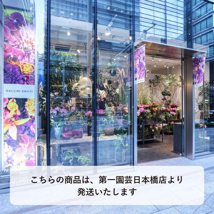 ブーケ シーズナルピンクローズ S | 花・花束を贈るなら第一園芸