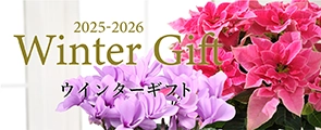 ウインターギフト・お歳暮2025