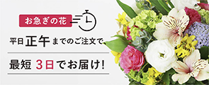 お急ぎの花
