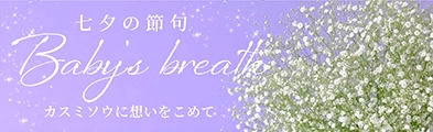 七夕におすすめのカスミソウの花束