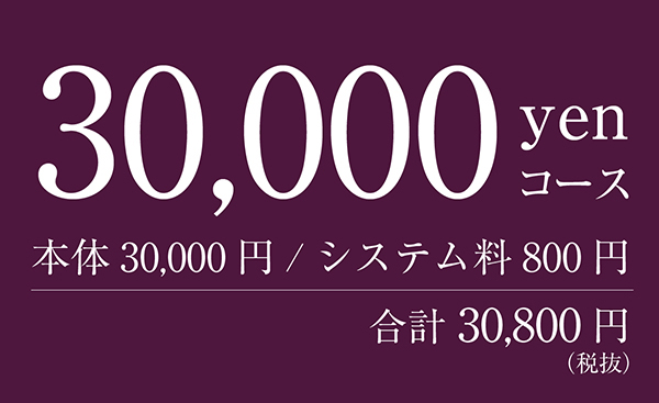 マイセレクト30000円コース